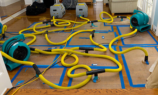 Professional Basement Flood Cleanup technician working in Fultonham, OH